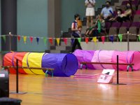 IMG 1443
